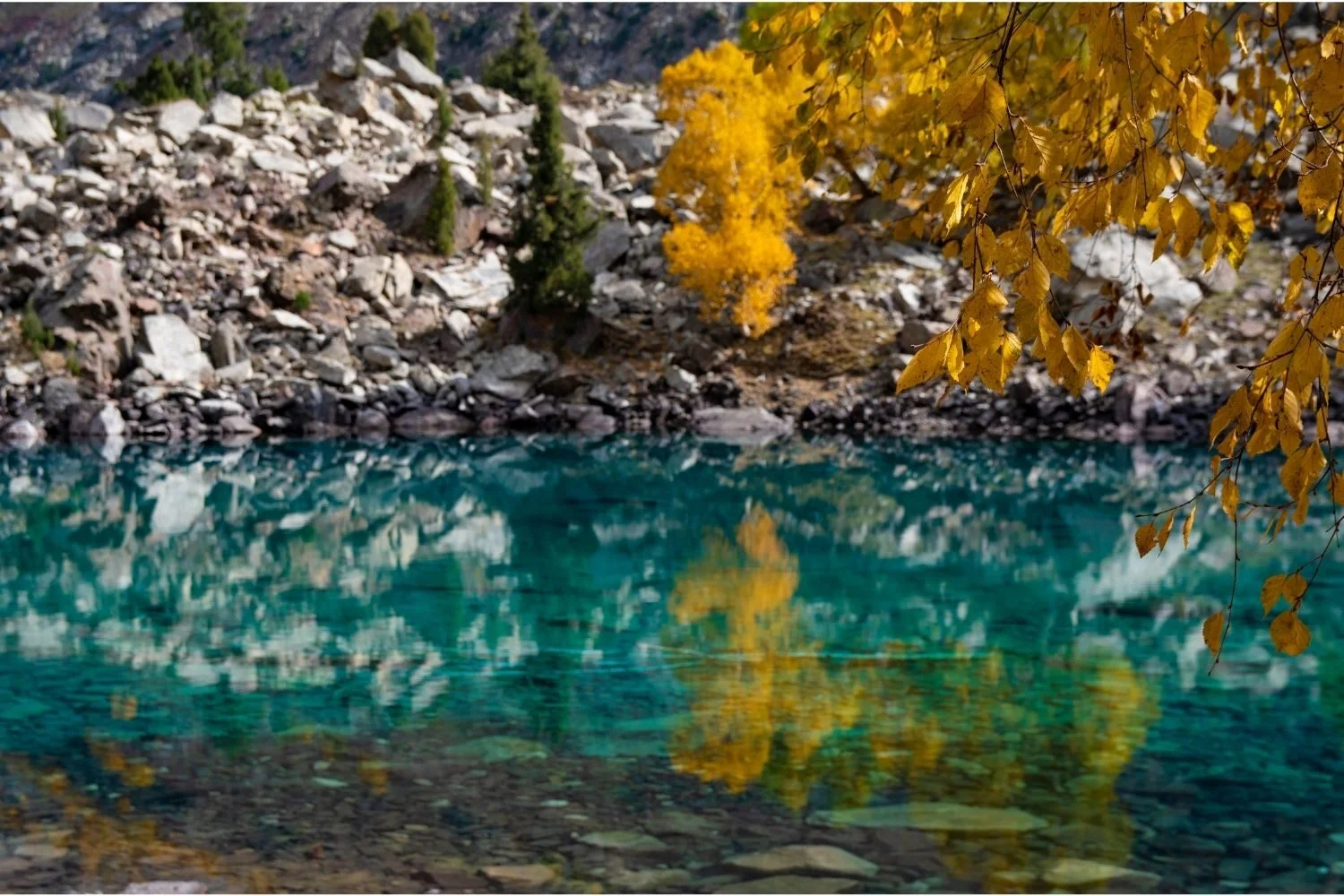 trip-to-naltar-valley - trip-to-hunza-and-naltar-valleys-1500x1000 (3)