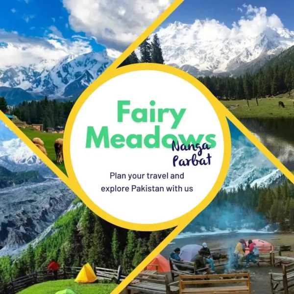 Five Days Trip To Fairy Meadows - Group Tour - Watch Video