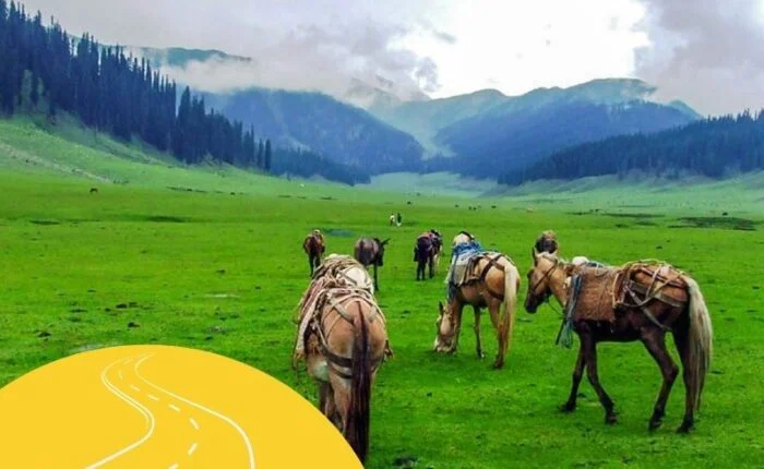 Three Days Trip To Kashmir - Group Tour - Featured