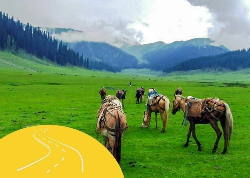 Three Days Trip To Kashmir - Group Tour - Featured