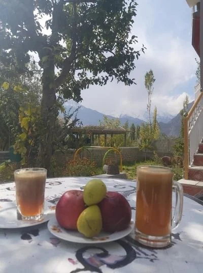 Hunza Hidden Palace - Best Hotels in Hunza (3)