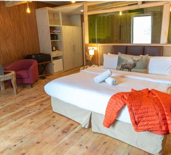 Standard Double Room - Luxus Hunza Attabad Lake Resort